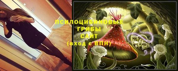 гидропоника Михайловск