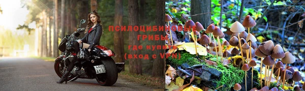 скорость Михайловка