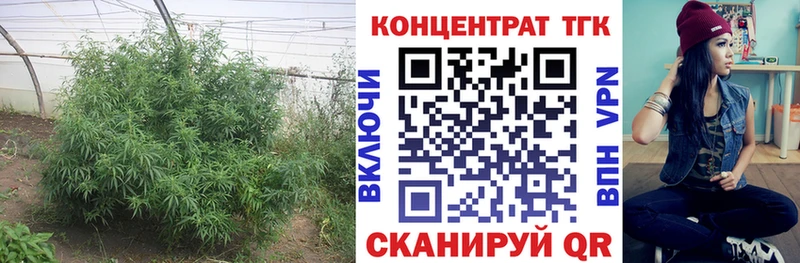 ТГК жижа кракен сайт Старый Крым