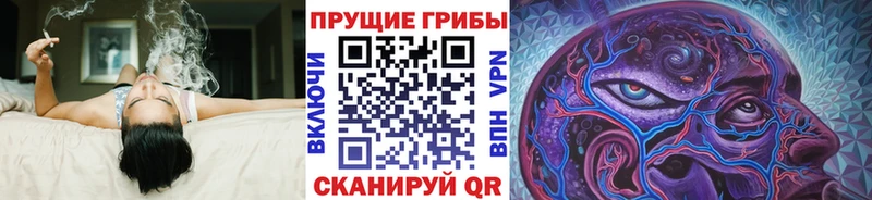 Псилоцибиновые грибы Psilocybe  наркотики  Старый Крым 